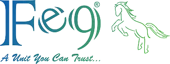 Fe9 logo